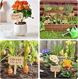 KINGLAKE Bamboo Plant Labels and Marker Pen 30 Pcs 6.5x10cm Garden Tags view 6