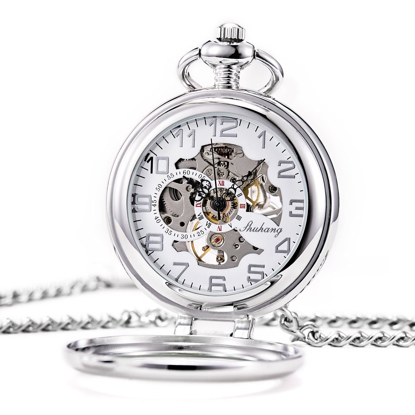 TREEWETO Steampunk Mechanical Pocket Watch for Men Women Silver Case Skeleton Dial with Chain +Box