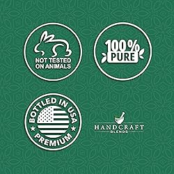 Handcraft Blends Pine Essential Oil – 1 Fl Oz