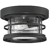 Savoy House 5-369-10-BK Barrett Farmhouse Clear Seeded Glass Circle Outdoor Flush Mount, 1-Light 60 Watt, 6" H x 10" W, Black