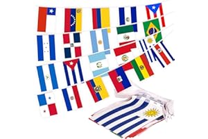 MVPRING Latin America 21 Countries String Flag Pennant Banner, Small Mini Flags Bunting Banner, Latino Flag Banners for Heritage Hispanic Month, Decoration for School, Party, Classroom, 30 Feet 21 Flags