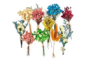 MOORCHOCO 10Pcs Mini Dried Flowers Bouquet, Mixed Natural Dried Flowers Gypsophila Bouquets Boutonniere Table Centerpieces Birthday Cake Flowers for DIY Crafts