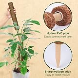 LANNEY Moss Pole 58.7 Inch 149cm 5-Piece Coir Totem Poles for Monstera view 4