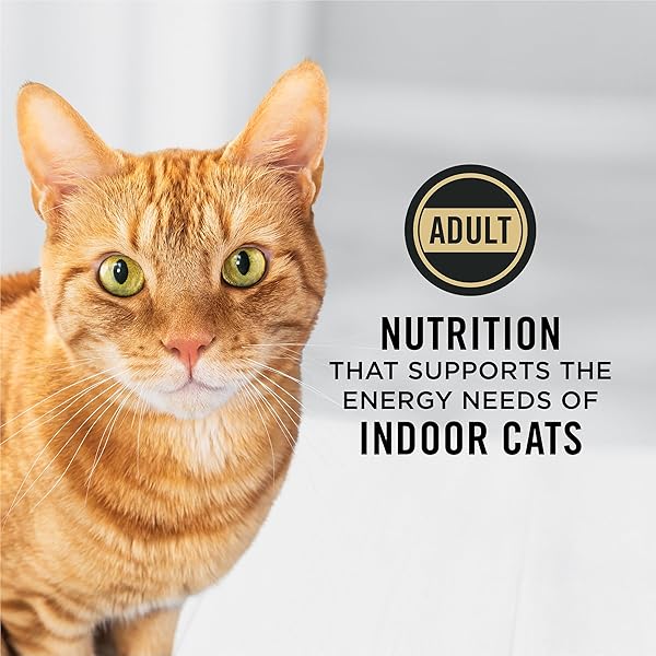 PURINA PRO PLAN HAIRBALL MANAGEMENT, INDOOR CAT FOOD, SALMON AND RICE FORMULA – 7 LB. BAG