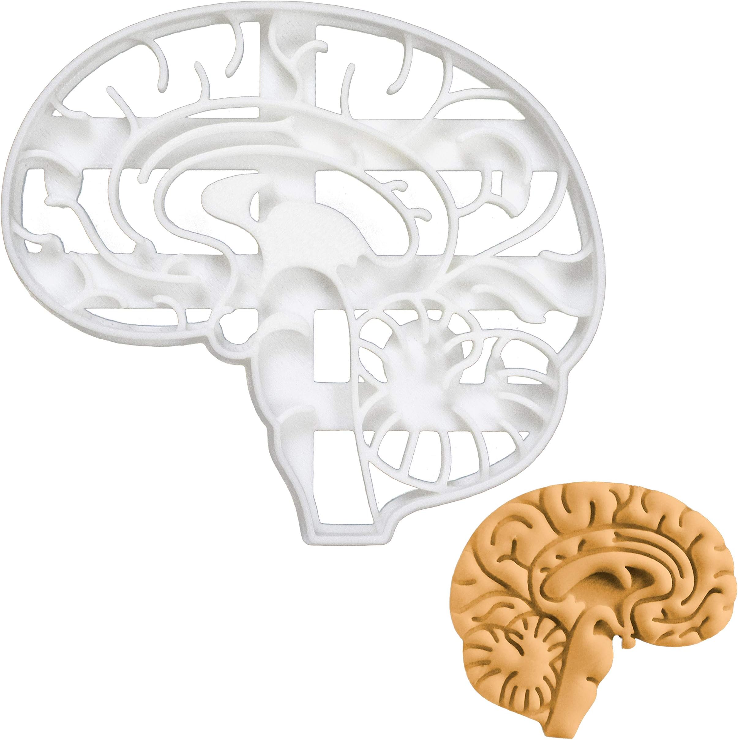 Anatomical Brain Cookie Cutter, 1 Piece - Bakerlogy