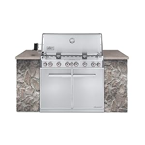 WEBER Summit S-660 Built-In Natural Gas Stainless Steel Grill
