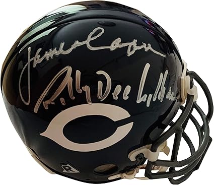 gale sayers signed helmet