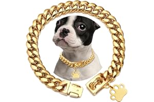 Gold Dog Chain Cuban Collar Metal Chain Collar with Design Secure Buckle 18K Gold Plated Stainless Steel Pet Cuban Links Coll