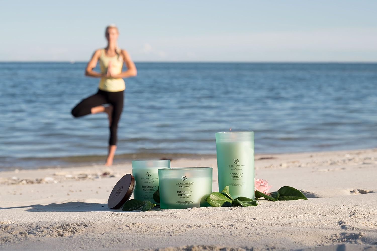 Chesapeake Bay Candle Scented Candle, Balance + Harmony (Water Lily Pear), Medium: Home & Kitchen