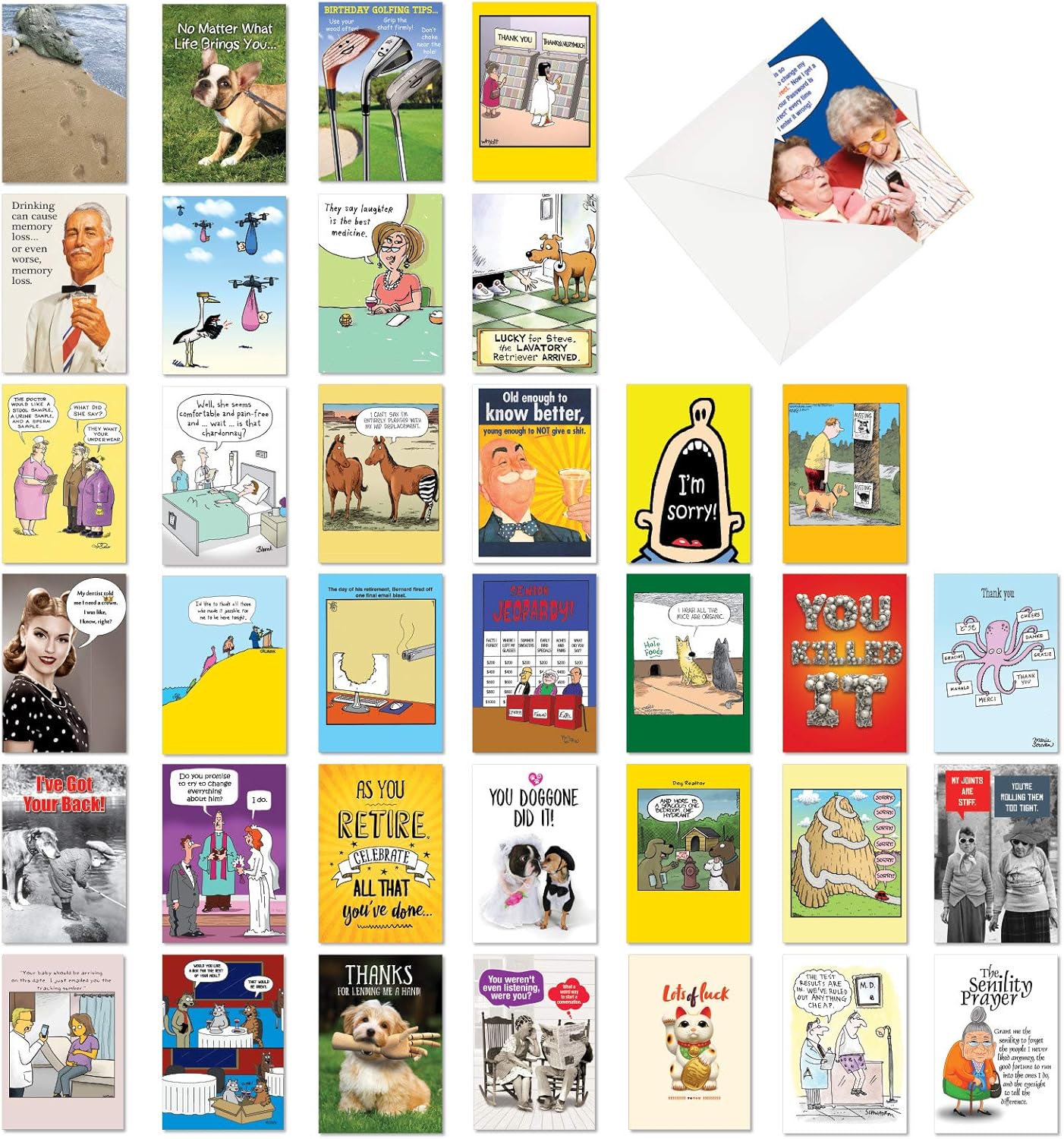 NobleWorks 36 Funny Mixed Occasion Cards Boxed Adult Bulk Notecard