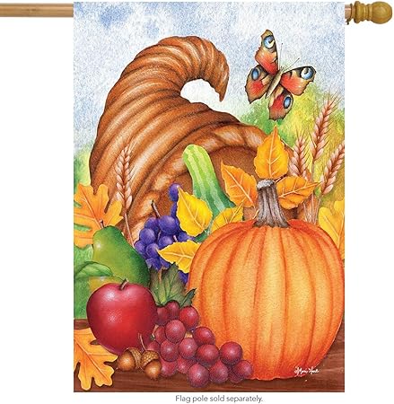 Amazon Com Briarwood Lane Horn Of Plenty Thanksgiving House Flag