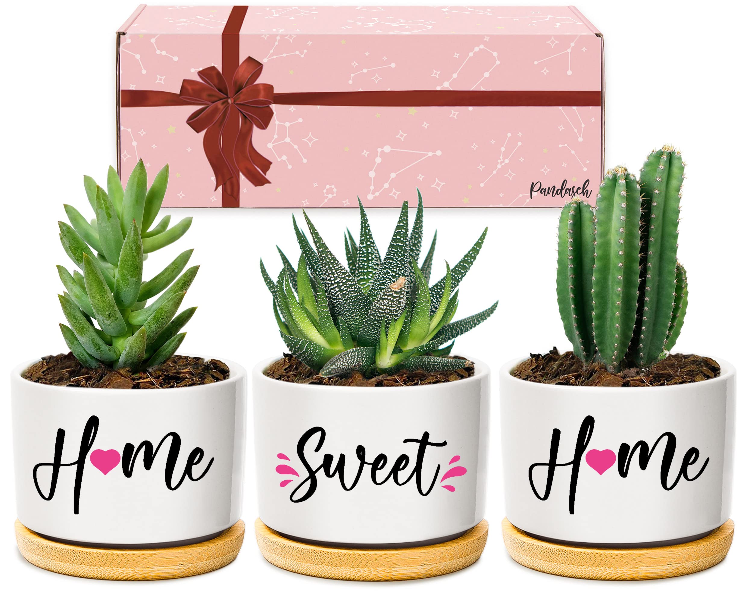 Pandasch House Warming Gifts for New Homeowners, Cute Succulent Pots Set, New Home Gifts for Couples Friends Family, Housewarming Presents for Christmas Anniversary, Arrives Beautifully Gift Boxed