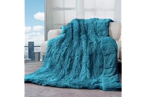 Cottonblue Weighted Blanket 15lbs, Sherpa Faux Fur Reversible Luxury Snugly Long Fur Warm Heavy Blanket 60x80 inches, Warm Plush Sherpa Weighted Blanket Queen Size for Couch Sofa Bed, Teal Green