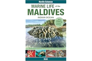 Marine Life of the Maldives Indian Ocean, 3rd Edition