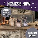 Nemesis Now Three Wise Hedgehogs Figurine 9cm Resin Hand-Painted Brown view 6