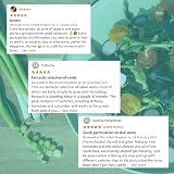 Scott&Co Salad Seed Starter Kit 10 Veg Varieties Indoor Outdoor Gardening view 6