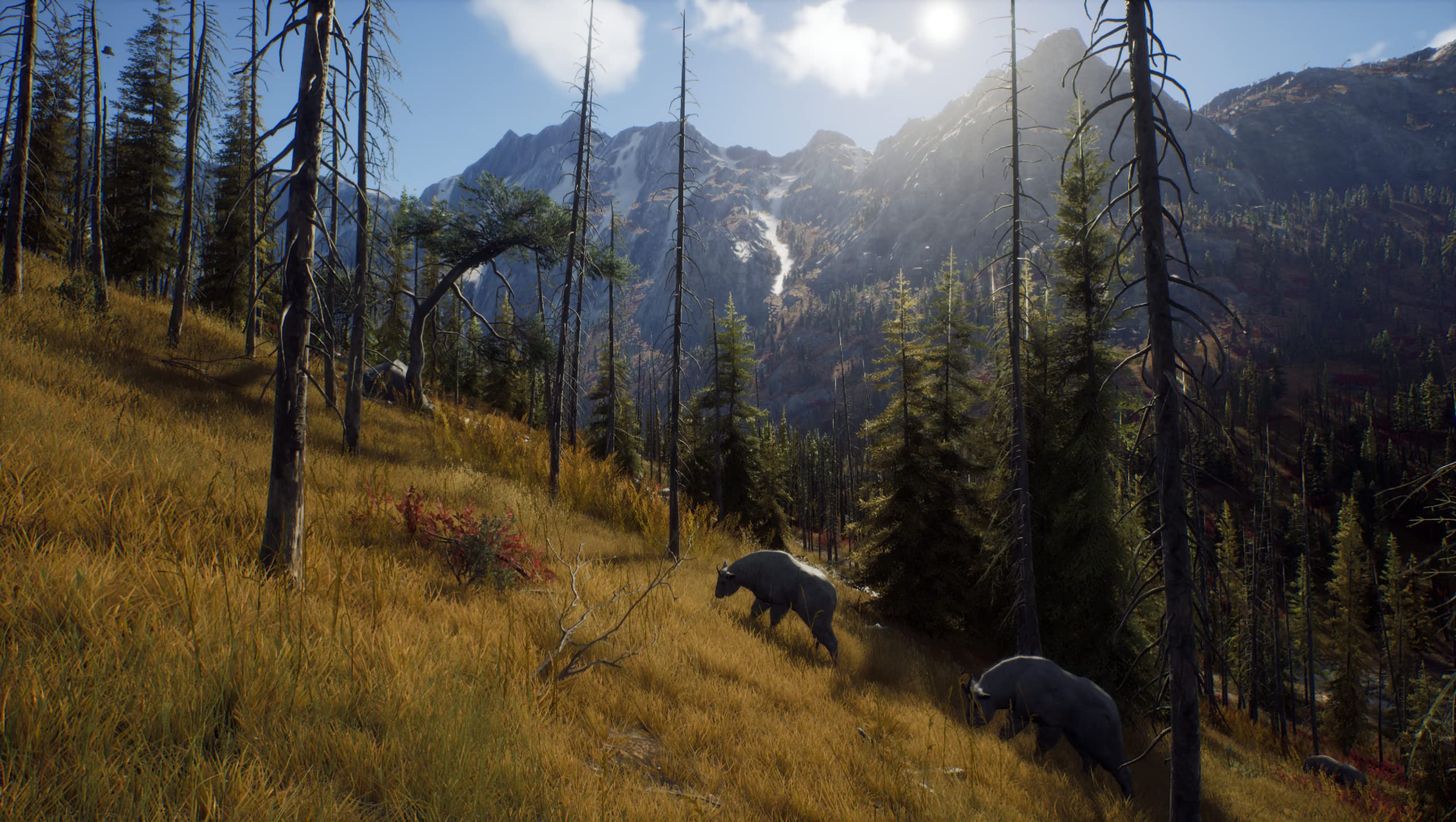 Way of The Hunter for Xbox Series X Way of The Hunter for Xbox Series X Xbox Series X PlayStation 5 PC