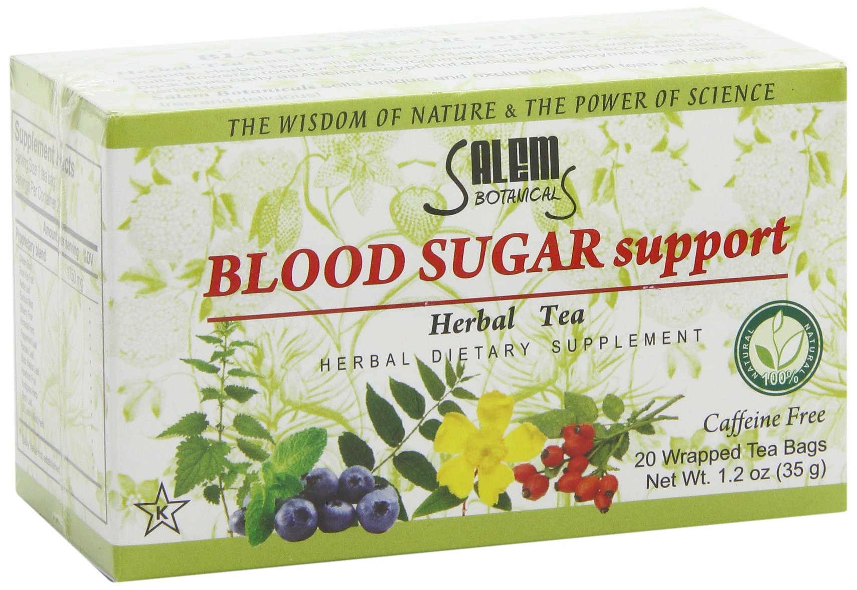 Salem Botanicals Herbal Tea, Blood Sugar Support, 20 Count Buy Online in UAE. Grocery