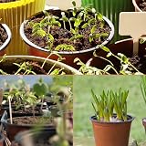 KINGLAKE 50 Pcs Plastic Plant Pots 15 cm Seedling Transplant Nursery Pots view 8