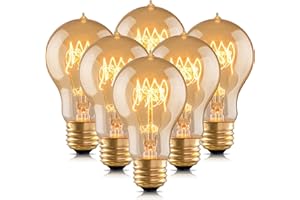 runquiz Warm Incandescent Light Bulbs 60 Watt,A19/A60 Vintage Style Edison Bulbs E26,Soft Yellow Light Bulbs,Amber Bulbs,Retro Light Bulb Old Fashioned,Halogen Dimmable Edison Bulb Squirrel Cage