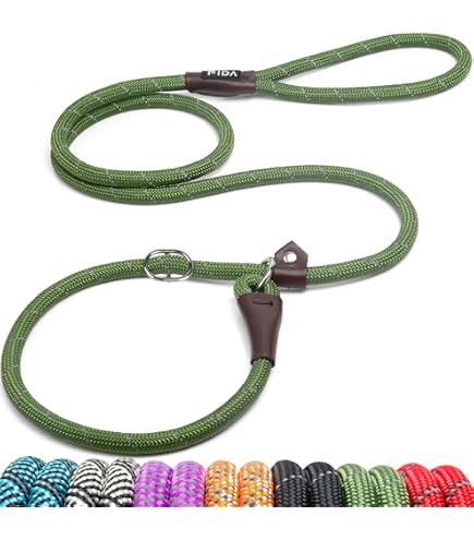 Lot De 6 Laisses Pour Chien En Nylon – Longueur 1,8 M – Laisse Coulissante à Dégagement Rapide – 6 Couleurs Différentes