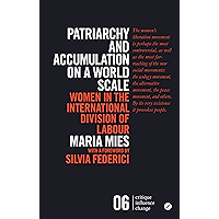 Patriarchy and Accumulation on a World Scale: Women in the International Division of Labour (Third World Books) book cover