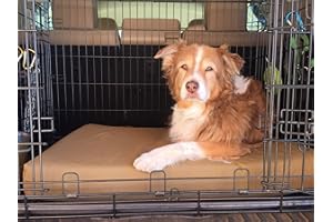 BIG BARKER Barker Beds Orthopedic Crate Bed (Medium, Cordura)– 4" Memory Foam Pad for Dog Crates – Designed for Medium Dogs – Durable, Machine-Washable Cover – Supports Joints – Made in USA