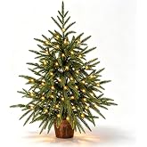 2ft Tabletop Small Prelit Artificial Norfolk Pine Christmas Tree, Lights | Realistic drooping branches,50 LED lights 8 modes, water‑resistant, mini Xmas for mantel,bedroom,study,office &amp; holiday decor