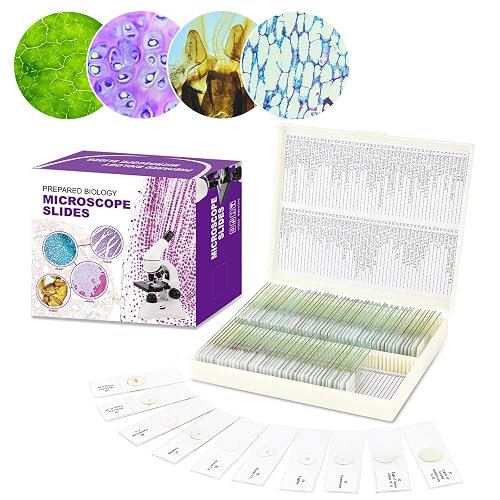 Kids Microscope Slides BEBANG STEM Science Kit: 30 Prepared Microscope ...