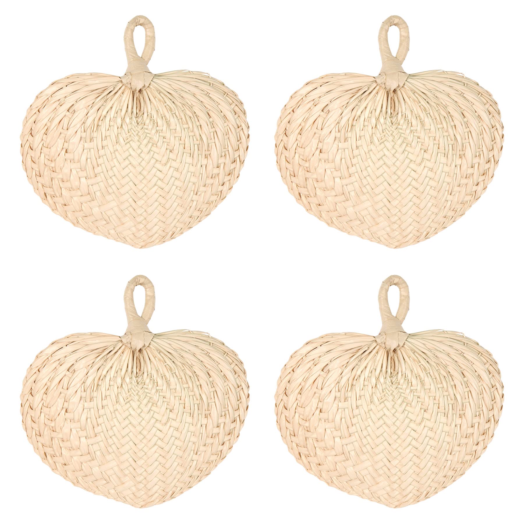 Photo 1 of Beistle 3Piece Raffia Fans, Natural