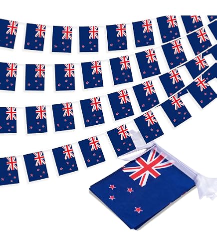 Amazon.com : DMSE Silver Fern New Zealand Flag 3X5Ft Foot 100