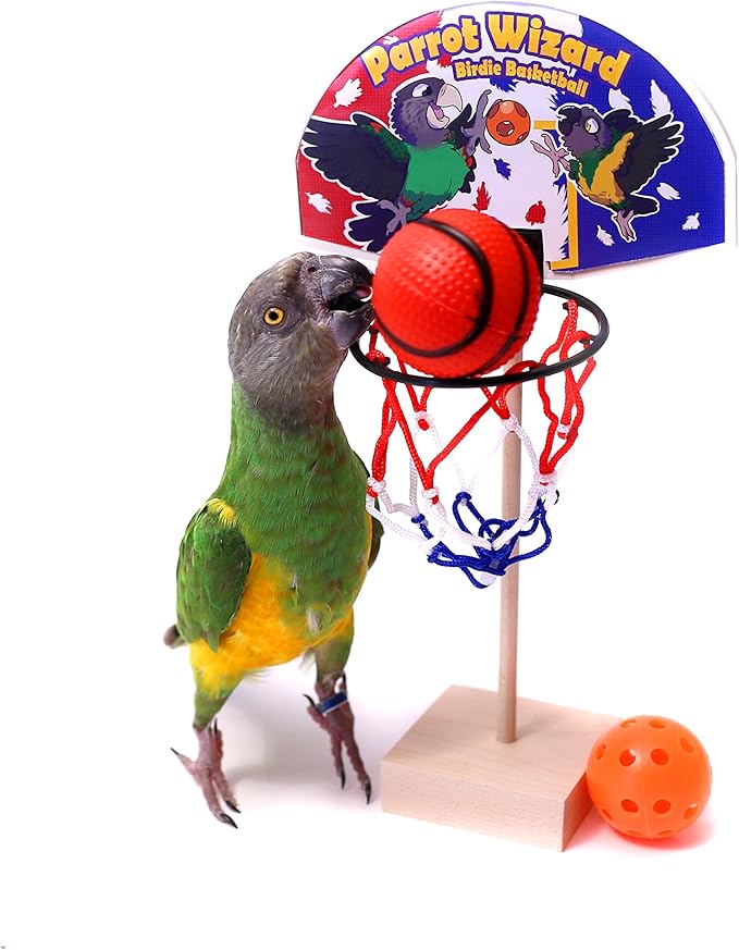basket bird