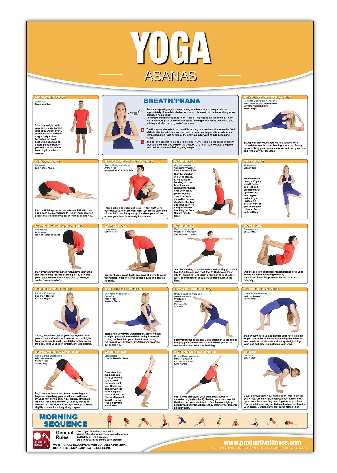 Product Reviews We Analyzed 5 854 Reviews To Find THE BEST Stretch