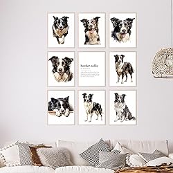 BigWig Prints Border Collie Wall Art - Border