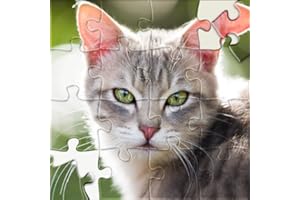 Magic Jigsaw Puzzles: Jigsawscapes HD: Best Offline Free Epic Puzzle Games