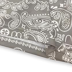 DIOTSR Mens Paisley Graphic Shorts Casual