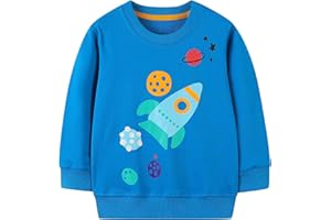 AIWUHE Toddler Sweatshirt Boys Girls Crewneck Pullover Tops Blouse Long Sleeve Cotton T-Shirt Fall Winter Clothes 2-6Y