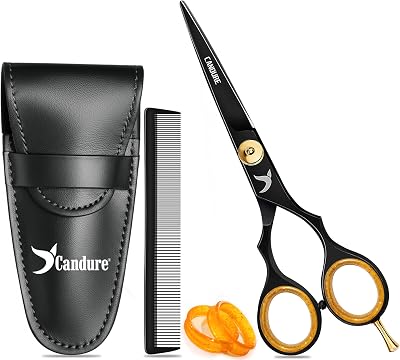 Candure 6.5 Hair Scissors with Comb Leather Pouch Professional Stainless Steel