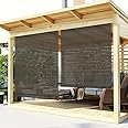 TANG Exterior Roller Shade Roll up Shade for Patio Deck Porch Pergola Balcony Backyard Outdoor Blinds Light Filtering Block UV Rays 6'W x 10'L Hollow Out Striped Brown
