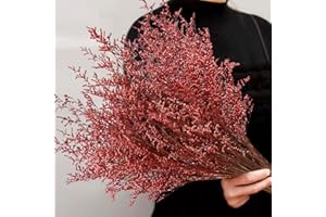 SAIPRO Preserved Natural Limonium Bouquet, 25+ Stems Real Fresh Caspia Bellidifolium, Sea Lavender, Baby Breath Flowers, for Wedding Birthday, Home Décor, Valentine’s Day Christmas, Rustic Holiday Décor