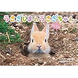うさぎじまのうさぎちゃん