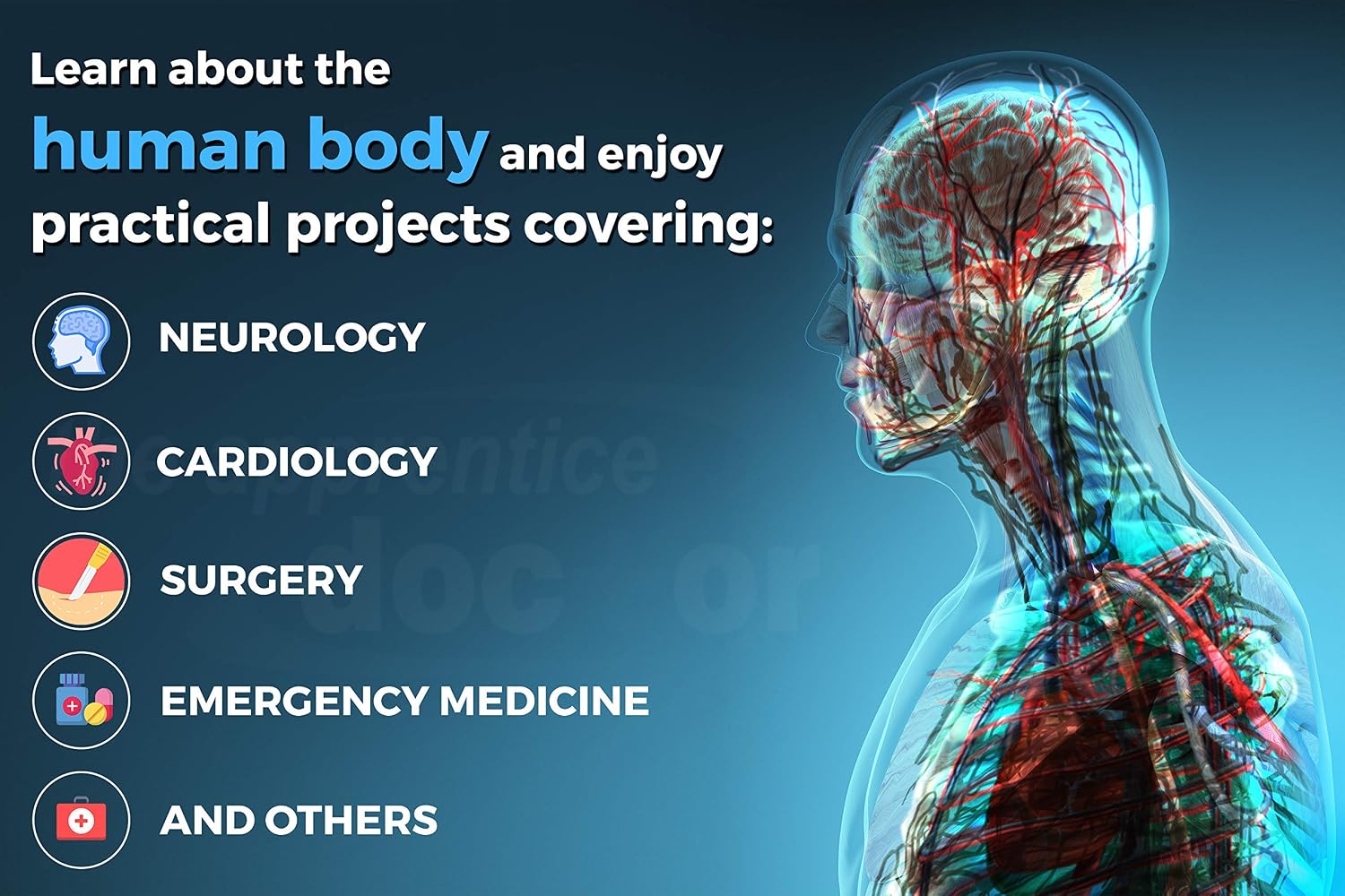Future Doctors Medical Science Kit for High School Students & Young Aspiring Medical Professionals - Image 5