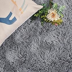 DweIke Fluffy Grey Rugs for Bedroom Living