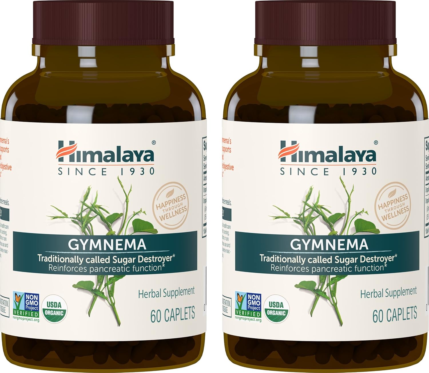 Himalaya Organic Gymnema Sylvestre, Equivalent to 8,254mg of Gymnema Sylvestre Powder, for Blood Sugar Support, 60 Caplets, 2 Month Supply (2 Pack): Health & Personal Care