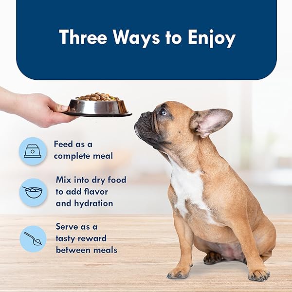 BLUE BUFFALO DELIGHTS SMALL BREED NATURAL WET DOG FOOD, ROTISSERIE CHICKEN FLAVOR IN GRAVY, 3.5-OZ CUPS, 12 COUNT