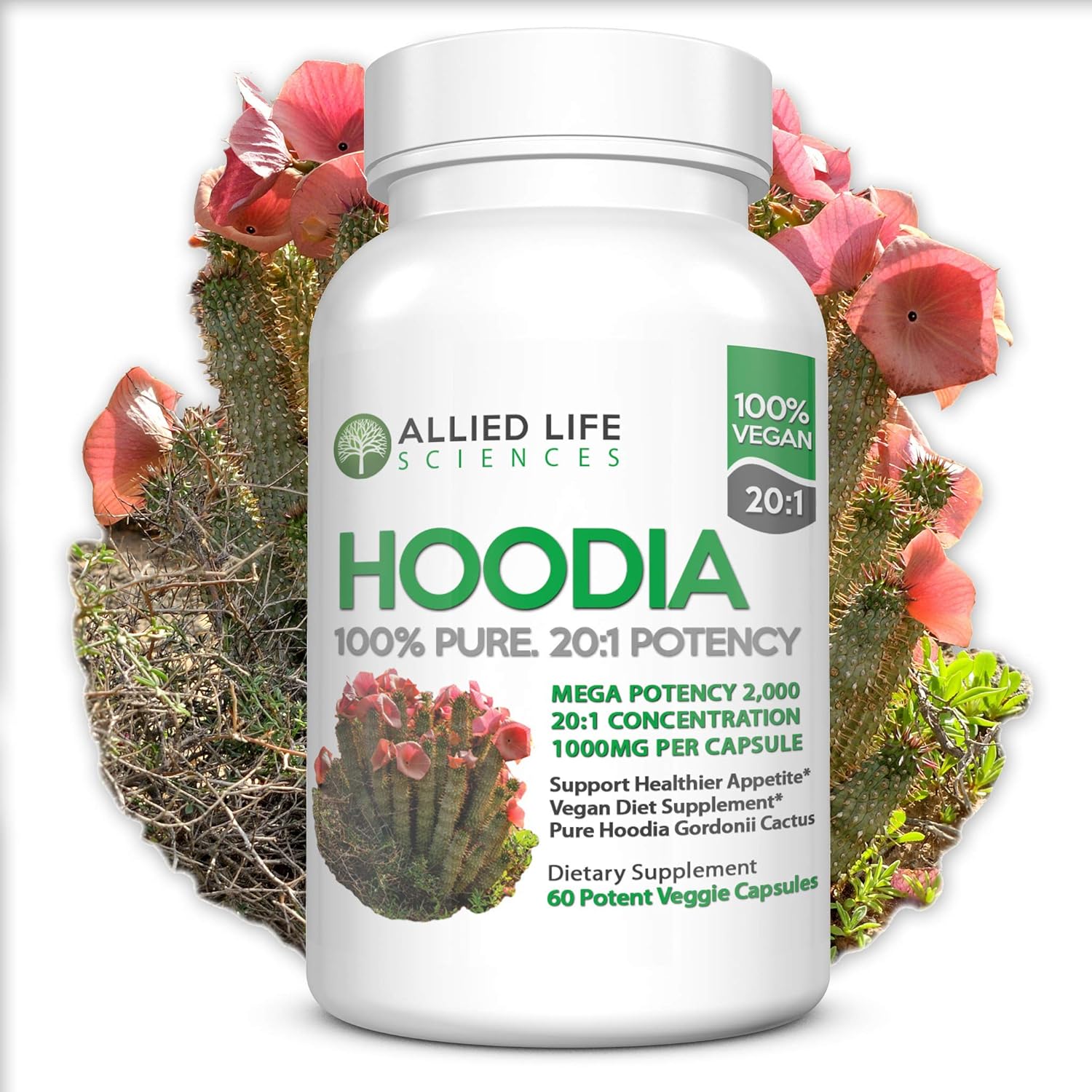 Hoodia cactus drink 8 oz
