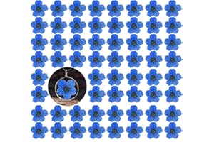 HEISENLIN Dried Pressed Flower, 60PCS Blue Natural Real Pressed Dried Blossom Flowers, Dry Flowers for Resin Jewelry Soap Scrapbooking DIY Candle Decoration Nail Pendant Crafts Making