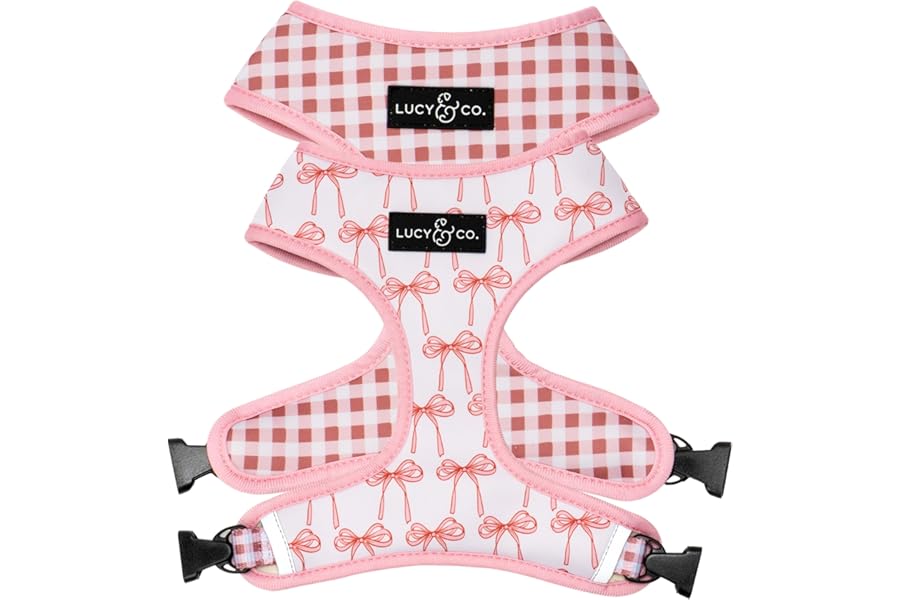Lucy & Co. Reversible Dog Harness - Water-Repellent Neoprene, Dual-Print Design, Easy Swap Style, Adjustable Comfort Fit - Take a Bow Reversible Harness - Small