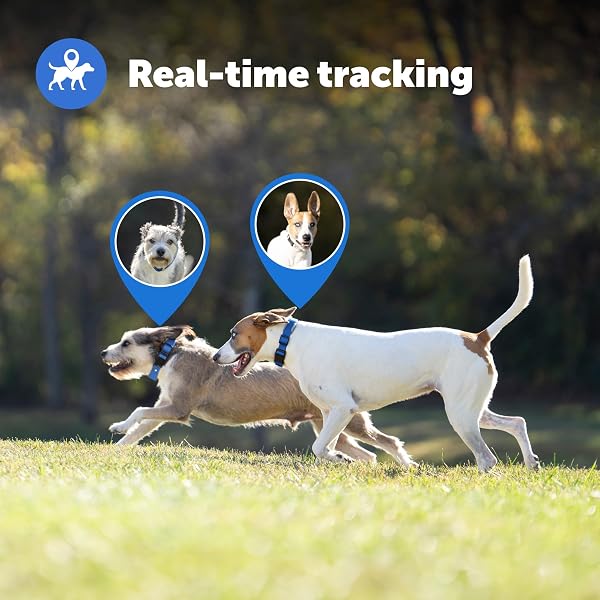 PETSAFE GUARDIAN GPS + TRACKING DOG FENCE COLLAR WIRELESS DOG FENCE WITH REAL-TIME TRACKING MOST RELIABLE GPS FOR YARDS OVER 3/4 ACRES SUBSCRIPTION REQUIRED – FOR MEDIUM AND LARGE DOGS