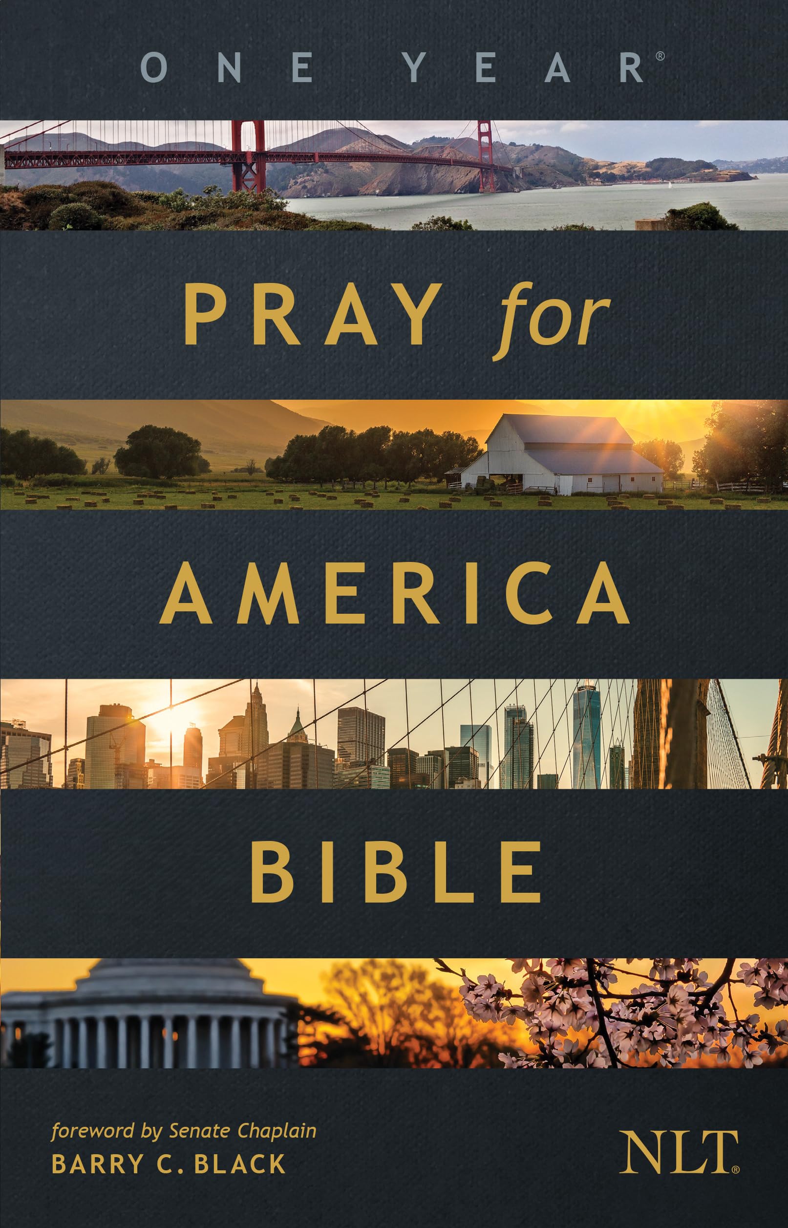 The One Year Pray for America Bible, NLT (Paperback) – Inspirational Daily Bible with Non-Partisan Prayer Prompts The One Year Pray for America Bible, NLT (Paperback) – Inspirational Daily Bible with Non-Partisan Prayer Prompts Paperback Kindle